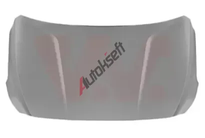 VAN WEZEL Kapota motoru VAW 8287660, 8287660