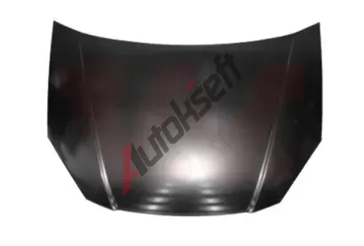 VAN WEZEL Kapota motoru VAW 8317660, 8317660