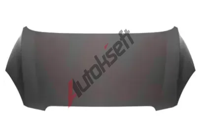 VAN WEZEL Kapota motoru VAW 8353660, 8353660