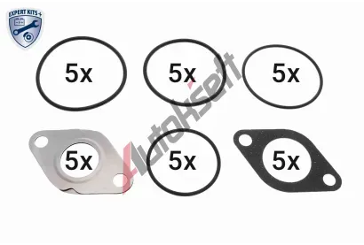 VEMO Sada tsnn - AGR systm EXPERT KITS + VEM V10-63-0187, V10-63-0187