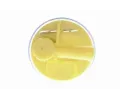 VEMO Palivov erpadlo VEM V20-09-0416-1, V20-09-0416-1