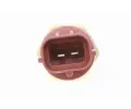 VEMO Snma teploty oleje Green Mobility Parts VEM V24-72-0115, V24-72-0115
