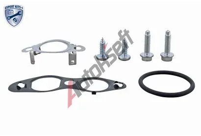 VEMO Sada tsnn - AGR systm EXPERT KITS + VEM V25-63-9031, V25-63-9031