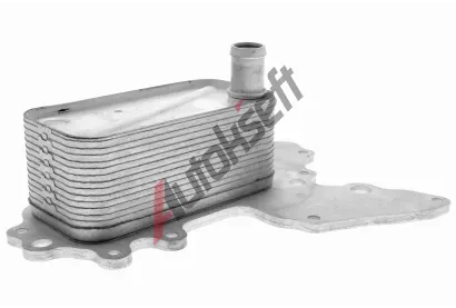 VEMO Chladi oleje Original VEMO Quality VEM V40-60-2119, V40-60-2119