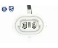 VEMO Elektromagnetick� spojka kompresoru klimatizace EXPERT KITS + VEM V40-77-0046, V40-77-0046