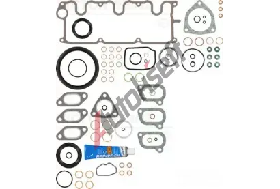 REINZ Kompletn sada tsnn motoru VR 01-31157-01, 01-31157-01