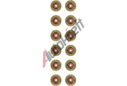REINZ Sada tsnn dku ventilu VR 12-12155-01, 12-12155-01