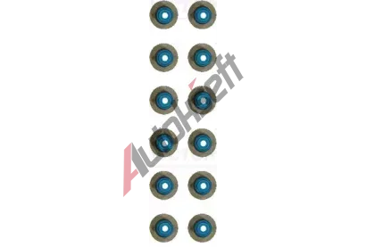 REINZ Sada t�sn�n� d��ku ventilu VR 12-18427-01, 12-18427-01