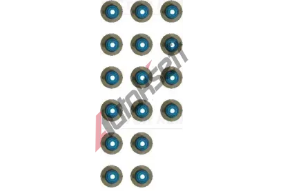 REINZ Sada tsnn dku ventilu VR 12-18427-02, 12-18427-02