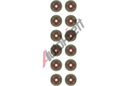 REINZ Sada tsnn dku ventilu VR 12-21058-01, 12-21058-01