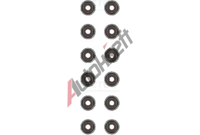 REINZ Sada tsnn dku ventilu VR 12-21170-01, 12-21170-01