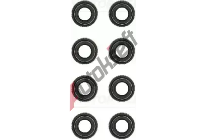 REINZ Sada t�sn�n� d��ku ventilu VR 12-24276-04, 12-24276-04