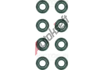 REINZ Sada tsnn - dk ventilu VR 12-27431-01, 12-27431-01