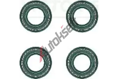 REINZ Sada tsnn - dk ventilu VR 12-31052-02, 12-31052-02
