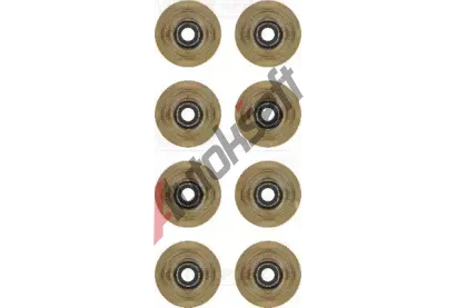 REINZ Sada tsnn - dk ventilu VR 12-31056-01, 12-31056-01