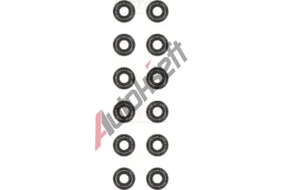 REINZ Sada tsnn - dk ventilu VR 12-36082-01, 12-36082-01