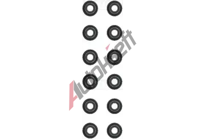 REINZ Sada tsnn - dk ventilu VR 12-38224-01, 12-38224-01