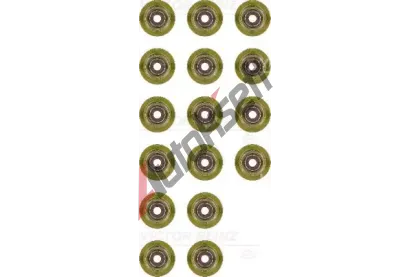 REINZ Sada těsnění - dřík ventilu VR 12-38538-01, 12-38538-01 REINZ Sada těsnění - dřík ventilu VR 12-38538-01, 12-38538-01