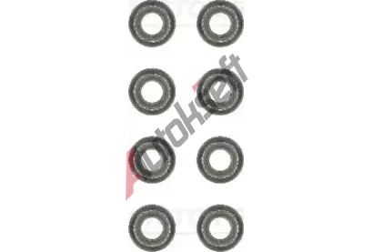 REINZ Sada tsnn - dk ventilu VR 12-52834-01, 12-52834-01