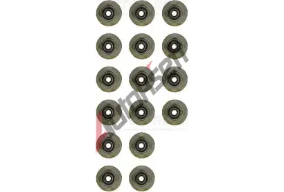 REINZ Sada tsnn - dk ventilu VR 12-52914-01, 12-52914-01