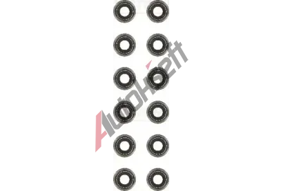 REINZ Sada tsnn - dk ventilu VR 12-52992-01, 12-52992-01