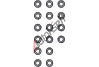 REINZ Sada tsnn - dk ventilu VR 12-53678-01, 12-53678-01