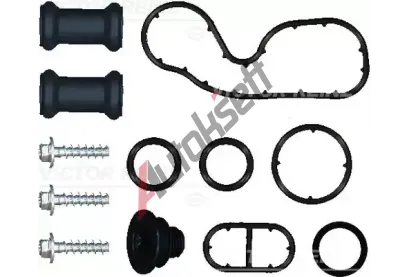 REINZ Sada t�sn�n� chladi�e oleje VR 13-10369-01, 13-10369-01