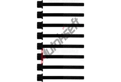 REINZ Sada �roub� pro hlavy v�lc� VR 14-10014-01, 14-10014-01