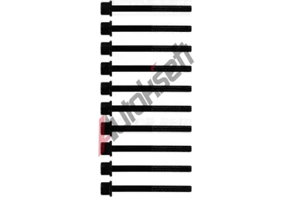 REINZ Sada �roub� pro hlavy v�lc� VR 14-10015-01, 14-10015-01