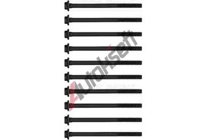 REINZ Sada �roub� pro hlavy v�lc� VR 14-10029-01, 14-10029-01