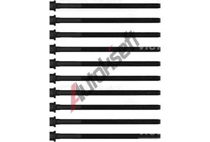 REINZ Sada �roub� pro hlavy v�lc� VR 14-10031-01, 14-10031-01