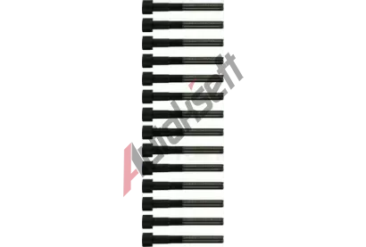 REINZ Sada �roub� pro hlavy v�lc� VR 14-10112-01, 14-10112-01