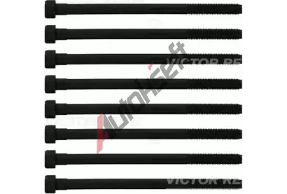 REINZ Sada roub pro hlavy vlc VR 14-10276-02, 14-10276-02