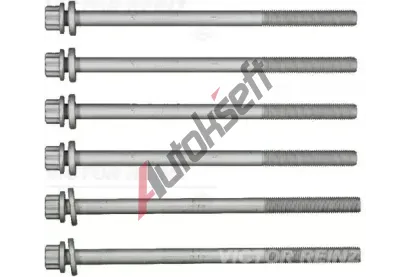 REINZ Sada šroubů pro hlavy válců VR 14-11006-03, 14-11006-03 REINZ Sada šroubů pro hlavy válců VR 14-11006-03, 14-11006-03