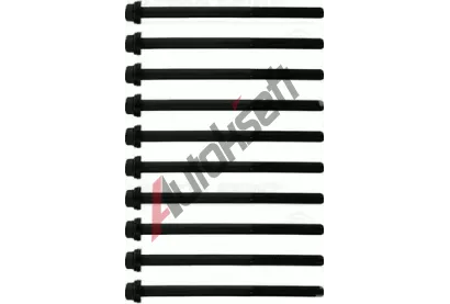 REINZ Sada šroubů pro hlavy válců VR 14-11294-01, 14-11294-01 REINZ Sada šroubů pro hlavy válců VR 14-11294-01, 14-11294-01