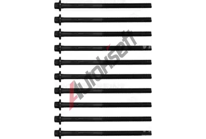 REINZ Sada �roub� pro hlavy v�lc� VR 14-11317-01, 14-11317-01