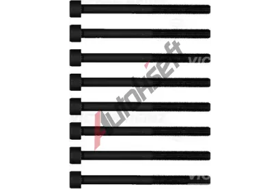 REINZ Sada �roub� pro hlavy v�lc� VR 14-11605-01, 14-11605-01