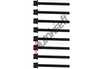 REINZ Sada �roub� pro hlavy v�lc� VR 14-11653-01, 14-11653-01