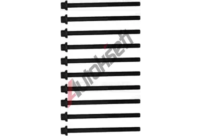 REINZ Sada roub pro hlavy vlc VR 14-12063-01, 14-12063-01