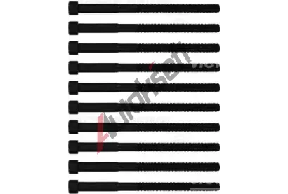 REINZ Sada �roub� pro hlavy v�lc� VR 14-12196-01, 14-12196-01