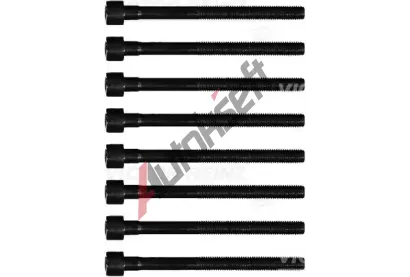 REINZ Sada �roub� pro hlavy v�lc� VR 14-12221-01, 14-12221-01