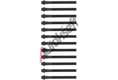 REINZ Sada �roub� pro hlavy v�lc� VR 14-12256-01, 14-12256-01