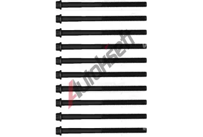 REINZ Sada roub pro hlavy vlc VR 14-13168-01, 14-13168-01