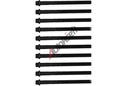 REINZ Sada �roub� pro hlavy v�lc� VR 14-13174-01, 14-13174-01
