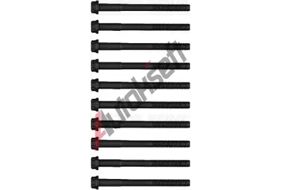 REINZ Sada �roub� pro hlavy v�lc� VR 14-15219-01, 14-15219-01
