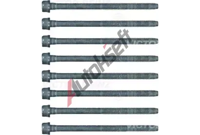 REINZ Sada roub pro hlavy vlc VR 14-17428-02, 14-17428-02