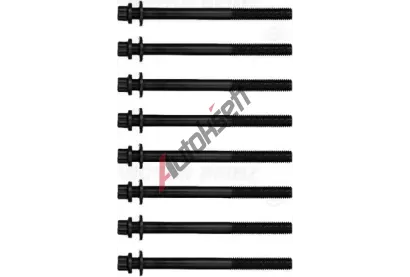 REINZ Sada �roub� pro hlavy v�lc� VR 14-17718-02, 14-17718-02