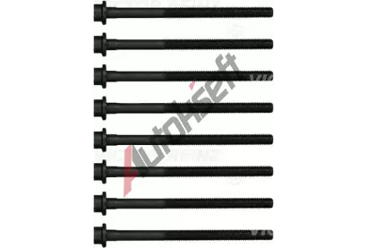 REINZ Sada roub pro hlavy vlc VR 14-17842-01, 14-17842-01