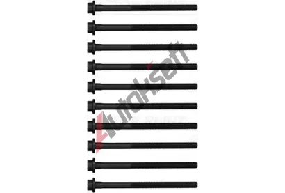 REINZ Sada �roub� pro hlavy v�lc� VR 14-17842-02, 14-17842-02