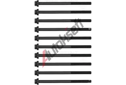 REINZ Sada šroubů pro hlavy válců VR 14-18219-01, 14-18219-01 REINZ Sada šroubů pro hlavy válců VR 14-18219-01, 14-18219-01